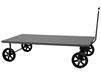 LOW DECK STEEL PLATFORM TRUCKS