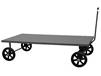 LOW DECK STEEL PLATFORM TRUCKS