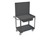SHELF CARTS/WORKSTATIONS WITH PANELS