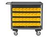 BIN SERVICE CARTS