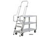 LADDER CARTS