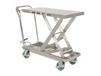 STAINLESS STEEL CARTS